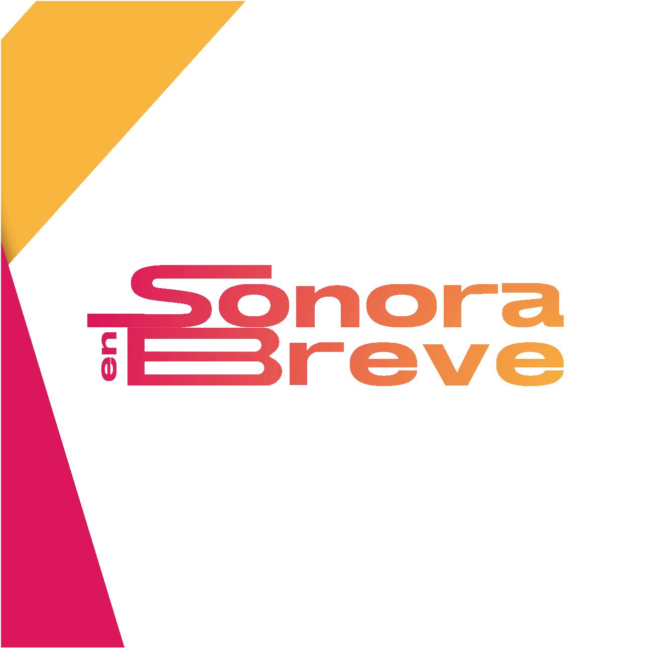 Sonora en Breve Logo